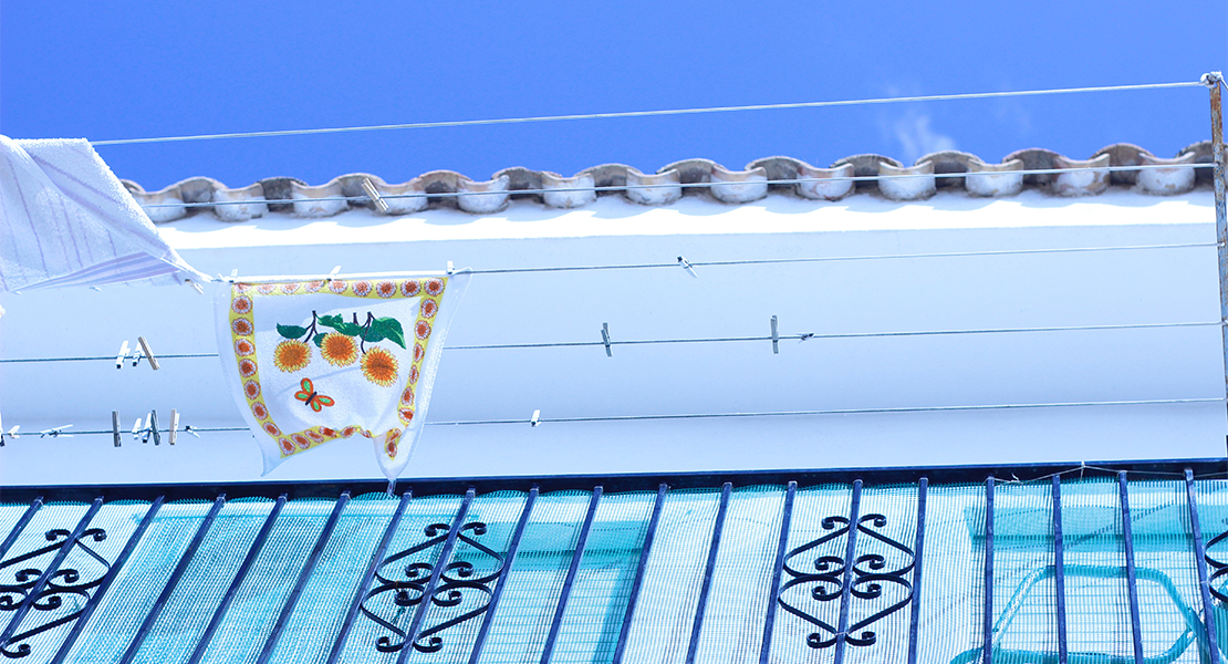 Planes en Oliva Nova: excursiones