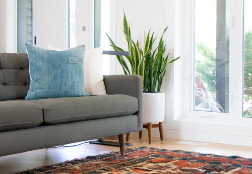 3 Plans You Can Do At Home