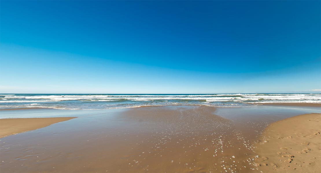 Vacaciones en Oliva Nova