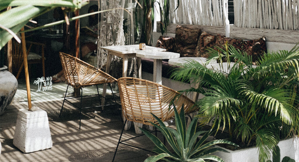 Plantas para decorar la terraza