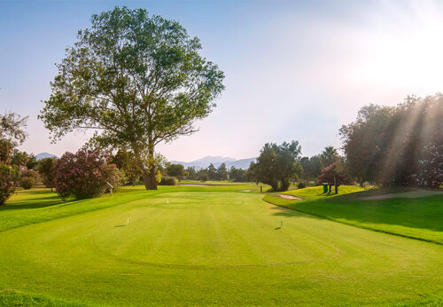 5 Plans For A Perfect Summer In Oliva Nova