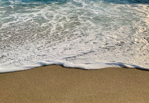 Apartamentos en la playa para disfrutar de Oliva Nova
