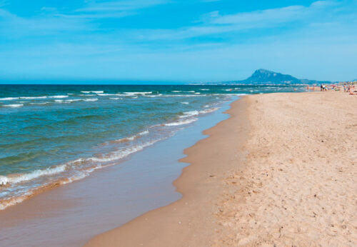 verano en oliva nova