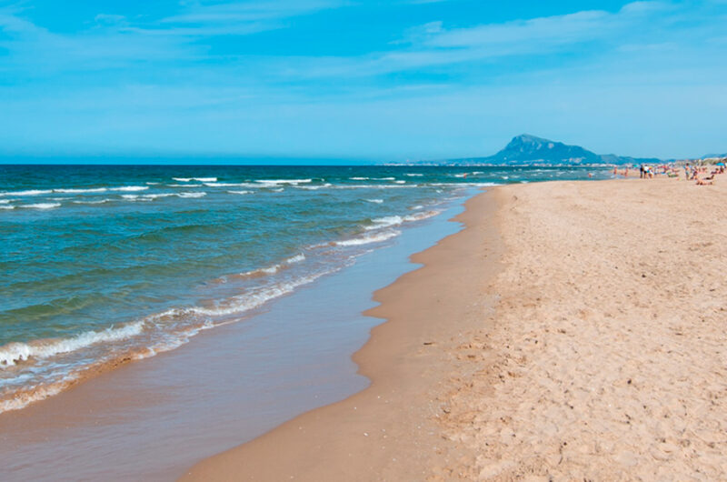 verano en oliva nova