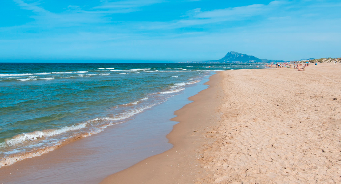 verano en oliva nova