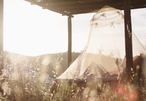 ¿Cómo combatir los mosquitos? ¡Los trucos definitivos para este verano!