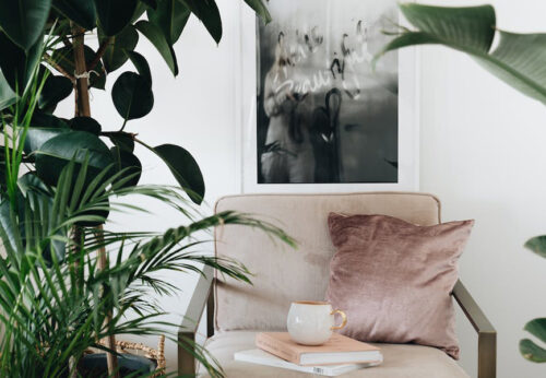 Biofilia: el estilo decorativo con plantas naturales que tienes que conocer