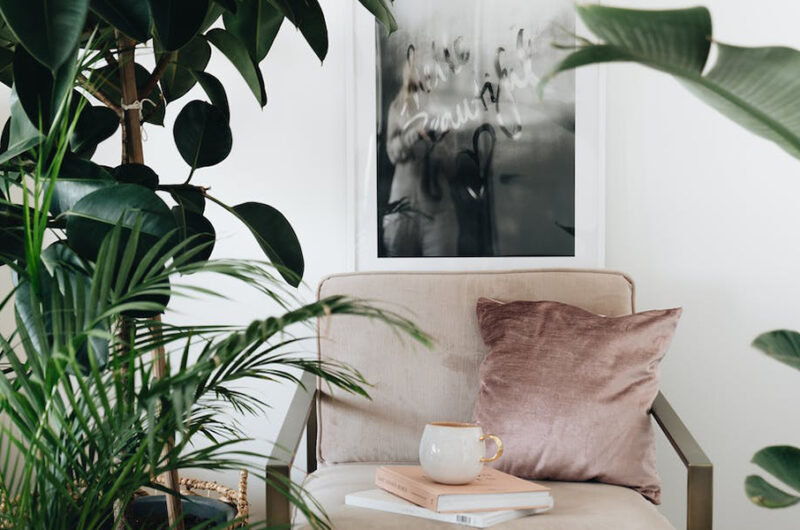 Biofilia decoración