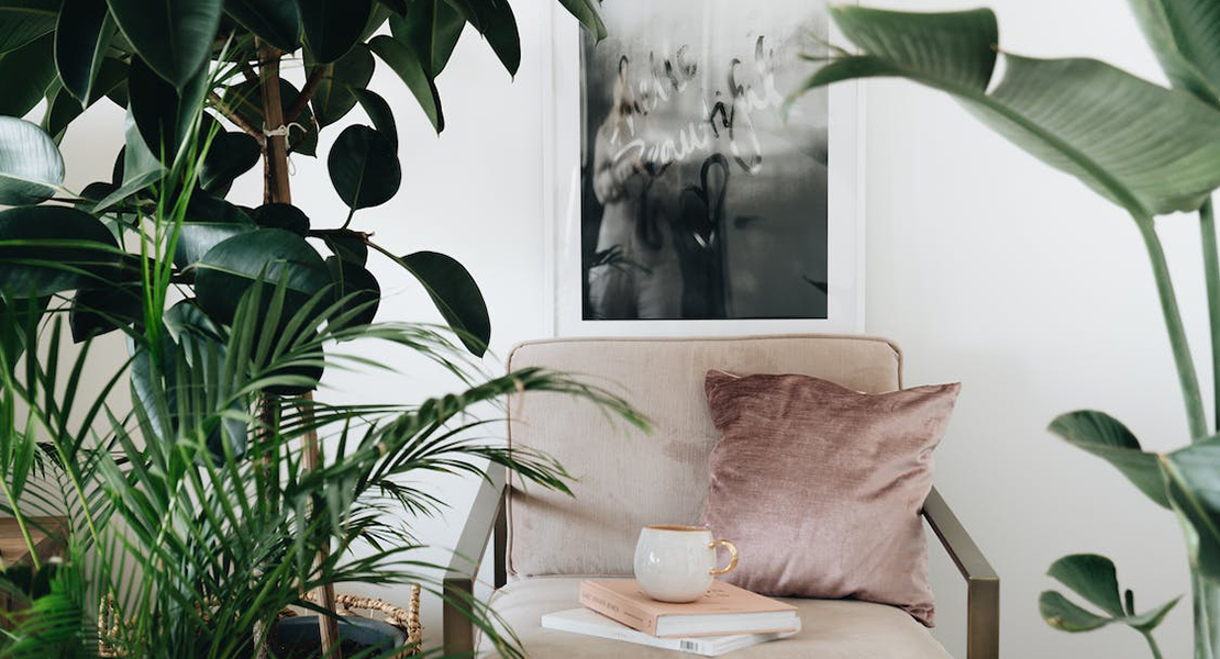 Biofilia decoración