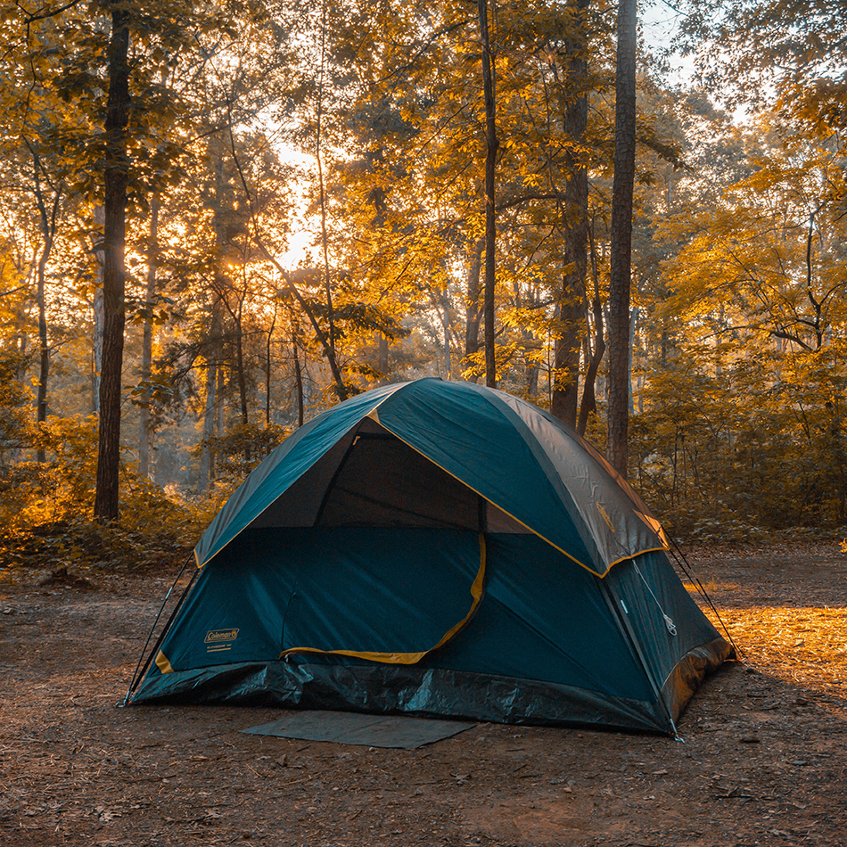 Trekking Oliva Nova
