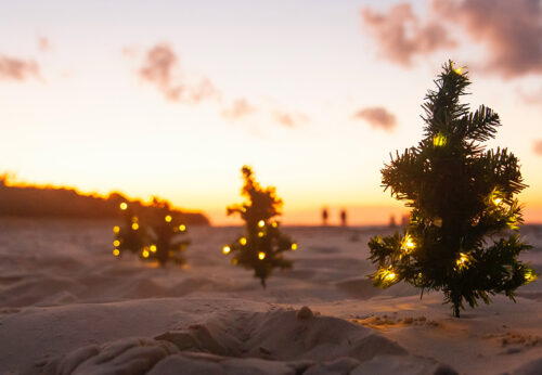 Enjoy the most special Christmas at Oliva Nova Beach & Golf Resort