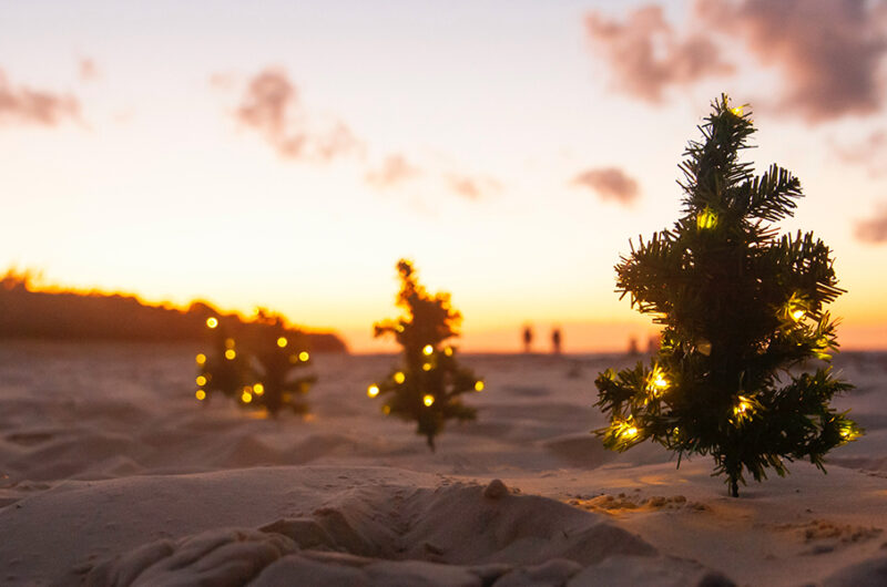 Navidades Oliva Nova Beach & Golf Club