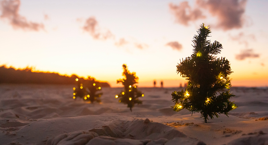 Navidades Oliva Nova Beach & Golf Club